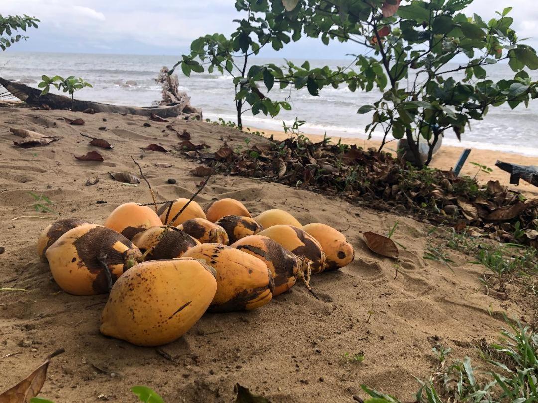 Hotel Ocean-Si Mansion Kribi Zewnętrze zdjęcie