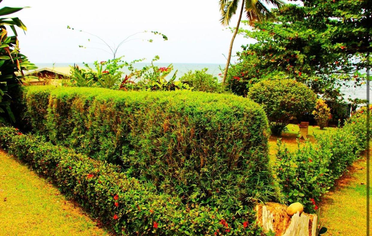 Hotel Ocean-Si Mansion Kribi Zewnętrze zdjęcie
